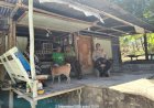 Bangun-Kedekatan-dengan-Warga,-Bhabinkamtibmas-Litamali-Perkuat-Deteksi-Dini-Gangguan-Kamtibmas