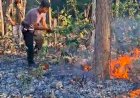Gerak-Cepat-Polisi-dan-Kehutanan,-Api-di-Hutan-Jati-Kateri-Berhasil-Dipadamkan-Sebelum-Meluas