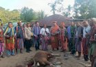 Hadiri-Peresmian-Rumah-Adat-Kolibein-Beisiri,-Kapolres-Malaka-Rajut-Persaudaraan-dalam-Kehangatan-Tradisi-dan-Budaya