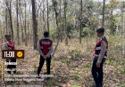 Tak-Hanya-Jaga-Kamtibmas,-Samapta-Polres-Malaka-Pantau-Hutan-Kateri-Antisipasi-Titik-Api