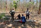 Patroli-Gabungan-di-Malaka-Perkuat-Perlindungan-Hutan,-Cegah-Karhutla-dan-Penebangan-Liar
