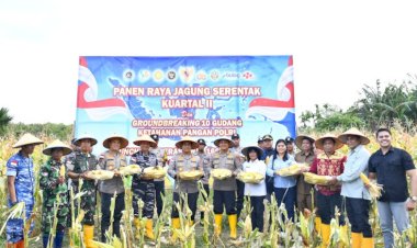 Di-Tengah-Hujan,-Kapolda-NTT-Pimpin-Semangat-Ketahanan-Pangan-Lewat-Panen-Raya-Jagung-2026