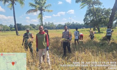 Humanis-dan-Dekat-dengan-Masyarakat,-Personel-Polsek-Weliman-Bantu-Warga-Panen-Saat-Patroli