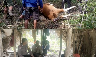 Problem-Solving-Bhabinkamtibmas-Berhasil-Selesaikan-Perselisihan-Sapi-Masuk-Kebun-Secara-Kekeluargaan