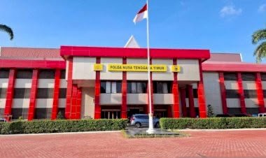 Polda NTT Dalami Dugaan Penyimpangan Kuota Sapi di TTS, Penyidik Masih Kumpulkan Fakta Hukum