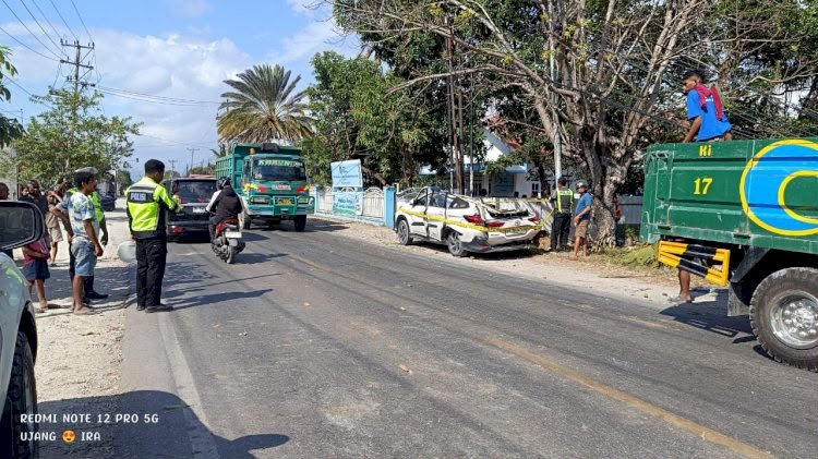 Sigap Tangani Pohon Tumbang Akibat Angin Kencang, Polres Kupang Imbau Masyarakat Tingkatkan Kewaspadaan