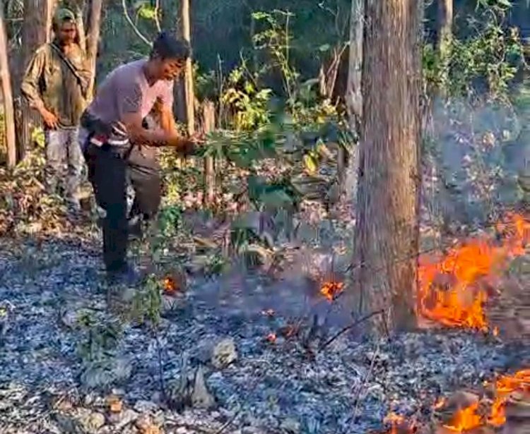 Gerak Cepat Polisi dan Kehutanan, Api di Hutan Jati Kateri Berhasil Dipadamkan Sebelum Meluas