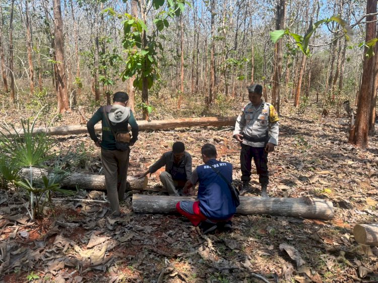 Patroli Gabungan di Malaka Perkuat Perlindungan Hutan, Cegah Karhutla dan Penebangan Liar